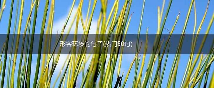 形容环境的句子(热门50句),第1张