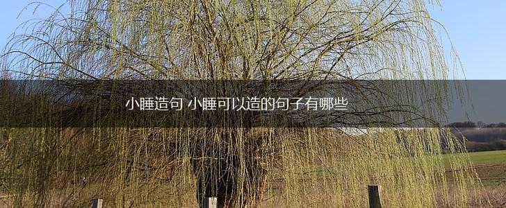 小睡造句 小睡可以造的句子有哪些,第1张 小睡造句 小睡可以造的句子有哪些,第1张