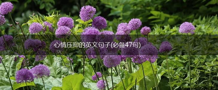 心情压抑的英文句子(必备47句),第1张