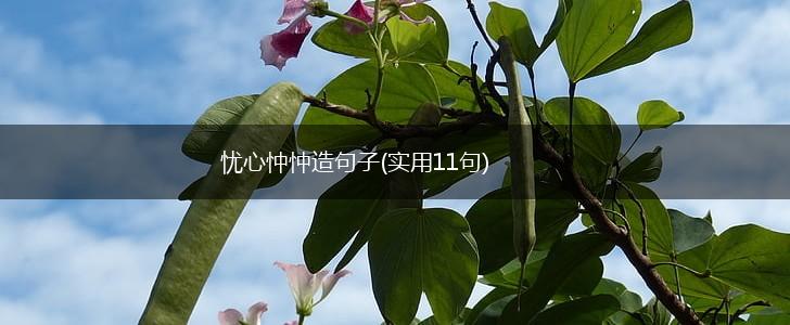 忧心忡忡造句子(实用11句),第1张