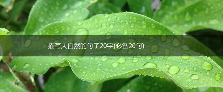 描写大自然的句子20字(必备20句),第1张