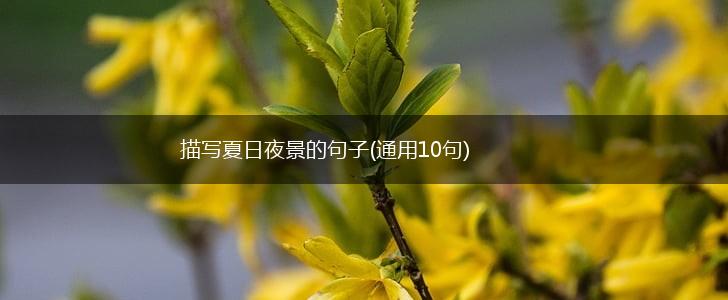 描写夏日夜景的句子(通用10句),第1张