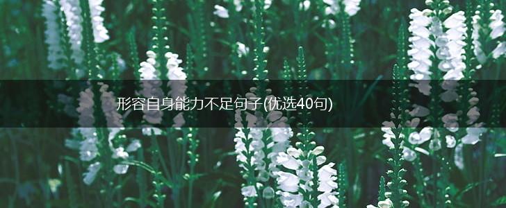 形容自身能力不足句子(优选40句),第1张