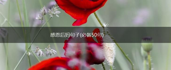 感恩后妈句子(必备50句),第1张