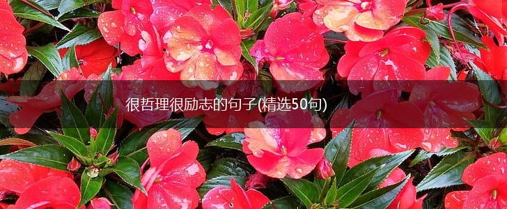 很哲理很励志的句子(精选50句),第1张