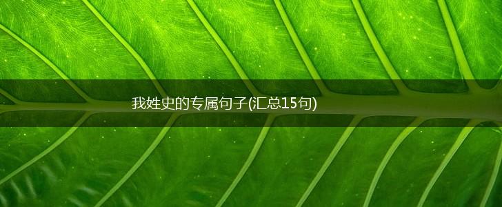 我姓史的专属句子(汇总15句),第1张