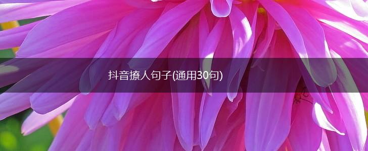 抖音撩人句子(通用30句),第1张