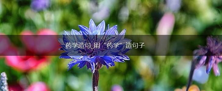 药学造句_用“药学”造句子,第1张 药学造句_用“药学”造句子,第1张