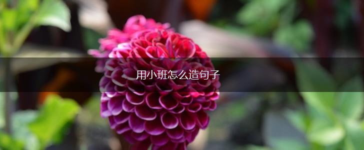 用小班怎么造句子,第1张 用小班怎么造句子,第1张