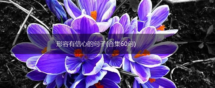 形容有信心的句子(合集60句),第1张