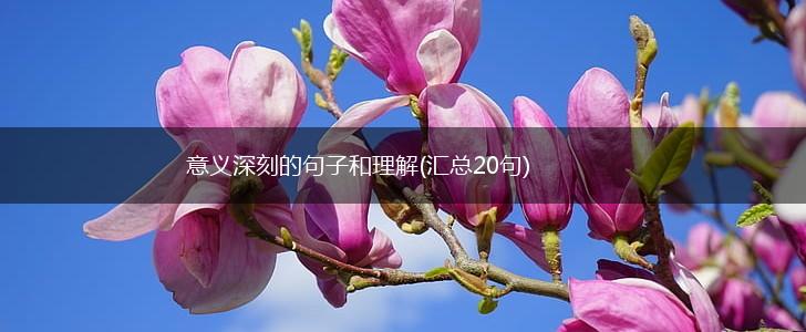 意义深刻的句子和理解(汇总20句),第1张