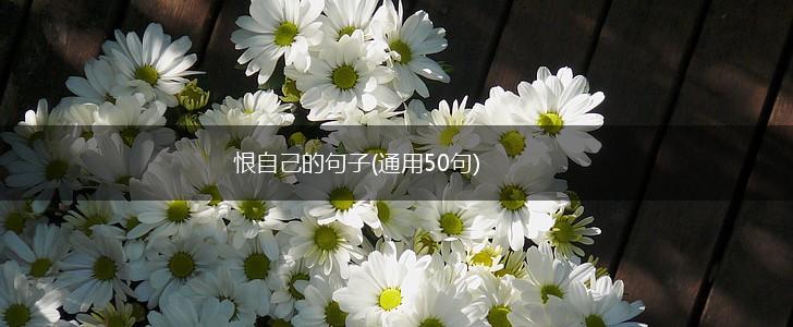 恨自己的句子(通用50句),第1张