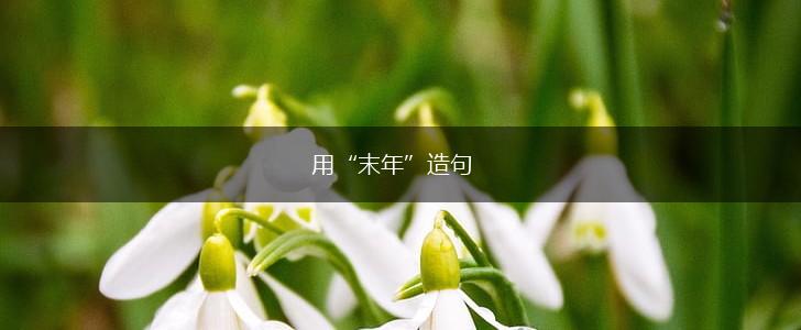 用“末年”造句,第1张 用“末年”造句,第1张