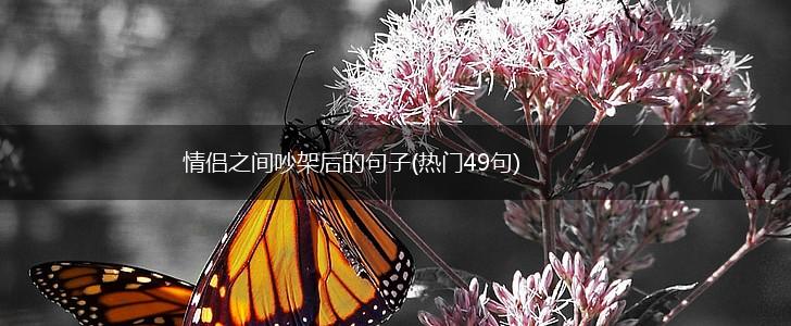 情侣之间吵架后的句子(热门49句),第1张