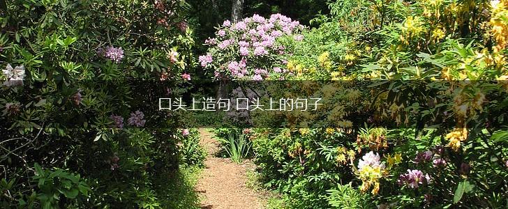 口头上造句 口头上的句子,第1张 口头上造句 口头上的句子,第1张