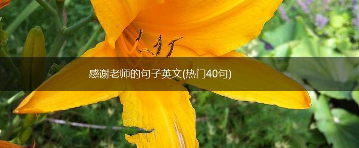 感谢老师的句子英文(热门40句),第1张
