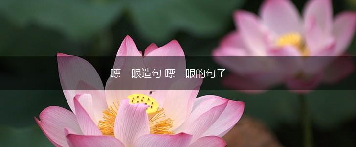 瞟一眼造句 瞟一眼的句子,第1张 瞟一眼造句 瞟一眼的句子,第1张