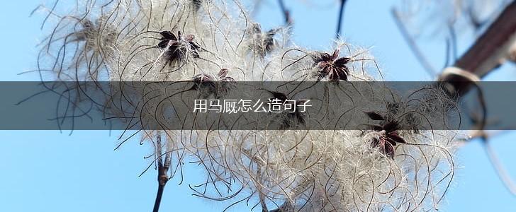 用马厩怎么造句子,第1张 用马厩怎么造句子,第1张