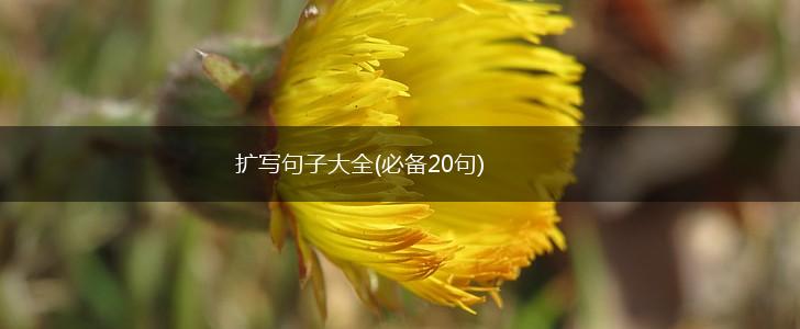 扩写句子大全(必备20句),第1张