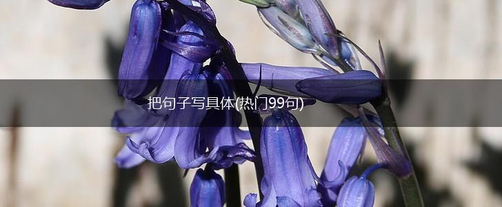 把句子写具体(热门99句),第1张
