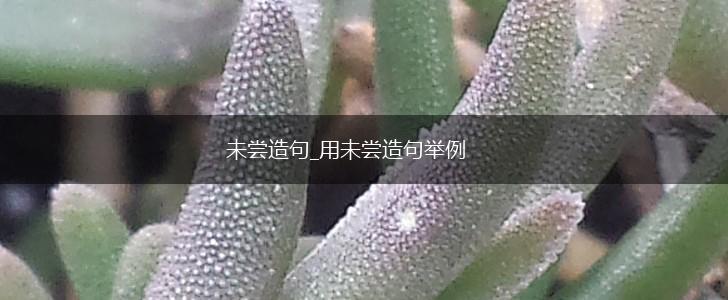 未尝造句_用未尝造句举例,第1张 未尝造句_用未尝造句举例,第1张