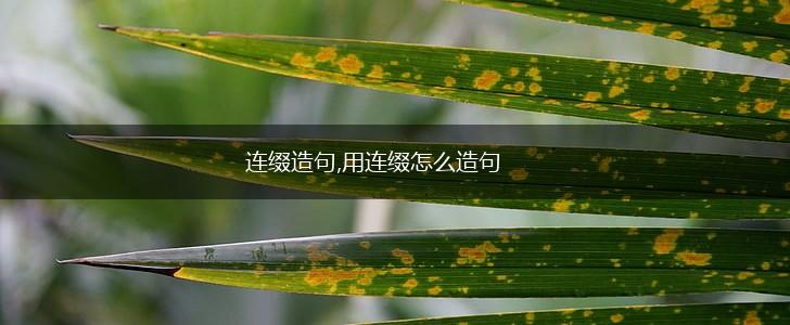 连缀造句,用连缀怎么造句,第1张 连缀造句,用连缀怎么造句,第1张