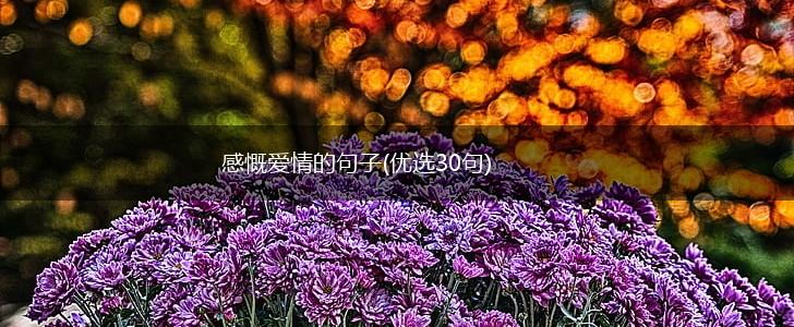 感慨爱情的句子(优选30句),第1张