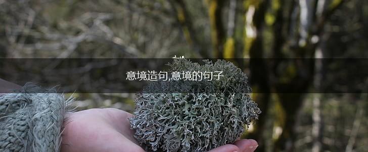 意境造句,意境的句子,第1张 意境造句,意境的句子,第1张