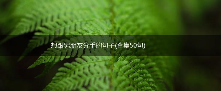 想跟男朋友分手的句子(合集50句),第1张