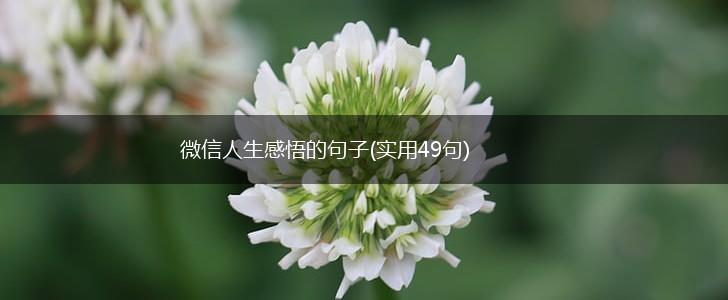 微信人生感悟的句子(实用49句),第1张