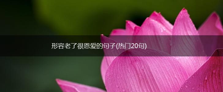形容老了很恩爱的句子(热门20句),第1张