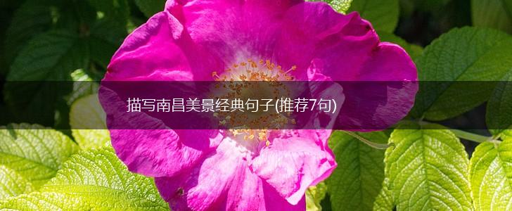 描写南昌美景经典句子(推荐7句),第1张
