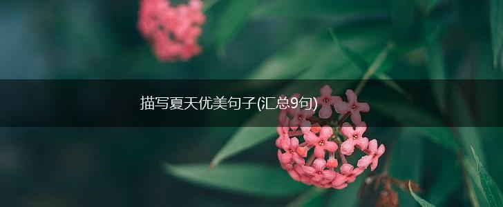 描写夏天优美句子(汇总9句),第1张