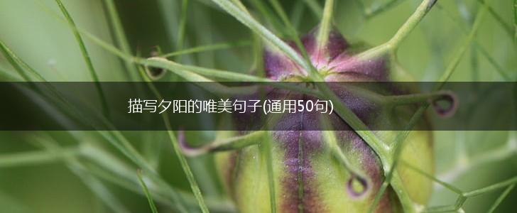 描写夕阳的唯美句子(通用50句),第1张