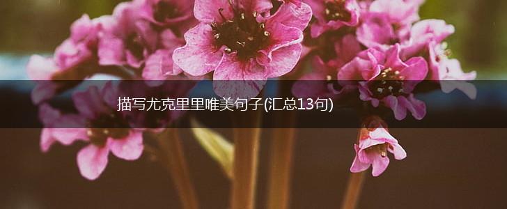 描写尤克里里唯美句子(汇总13句),第1张