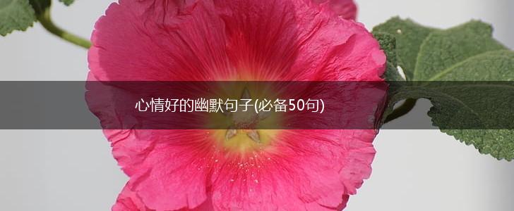 心情好的幽默句子(必备50句),第1张