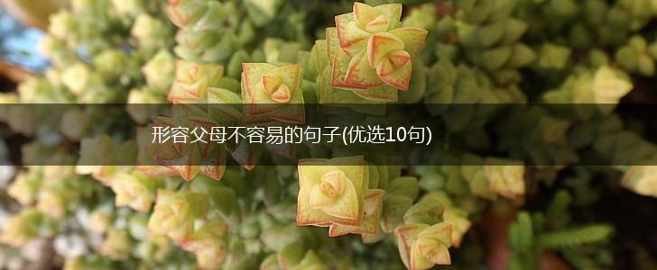形容父母不容易的句子(优选10句),第1张