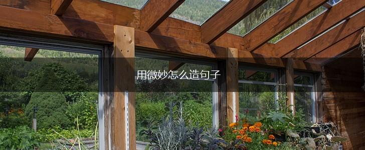用微妙怎么造句子,第1张 用微妙怎么造句子,第1张