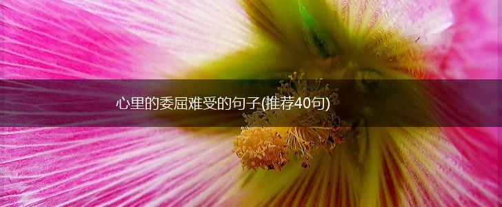 心里的委屈难受的句子(推荐40句),第1张