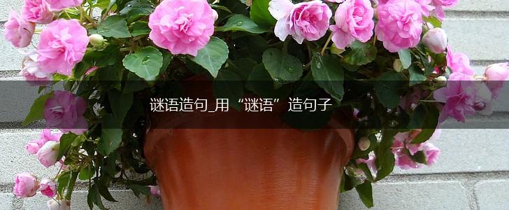 谜语造句_用“谜语”造句子,第1张