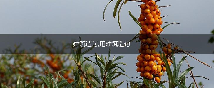 建筑造句,用建筑造句,第1张 建筑造句,用建筑造句,第1张