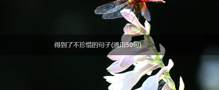 得到了不珍惜的句子(通用50句),第1张