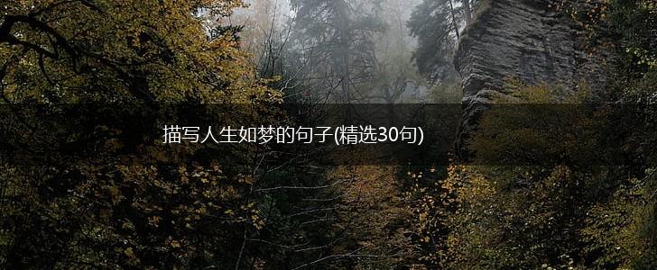 描写人生如梦的句子(精选30句),第1张