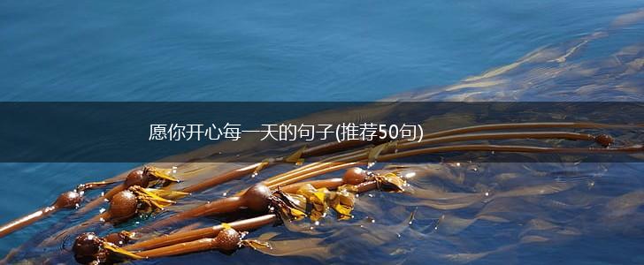 愿你开心每一天的句子(推荐50句),第1张