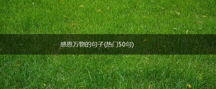 感恩万物的句子(热门50句),第1张