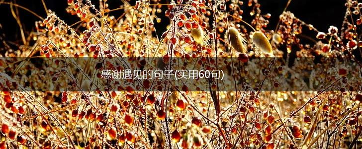 感谢遇见的句子(实用60句),第1张