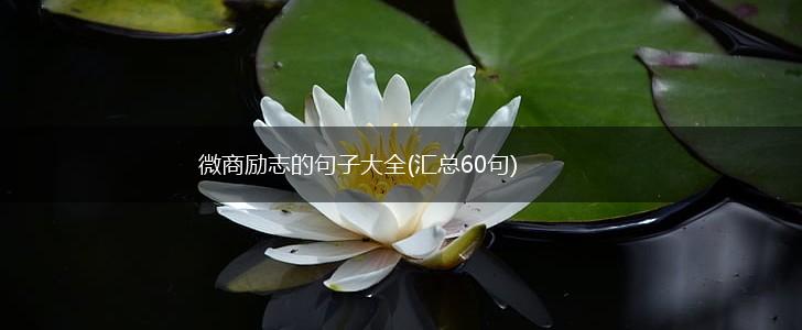 微商励志的句子大全(汇总60句),第1张