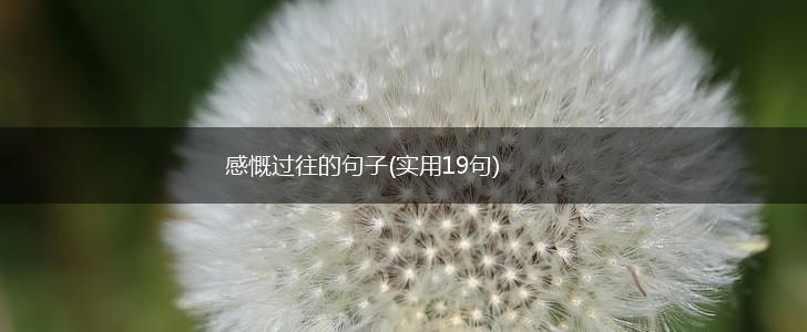 感慨过往的句子(实用19句),第1张