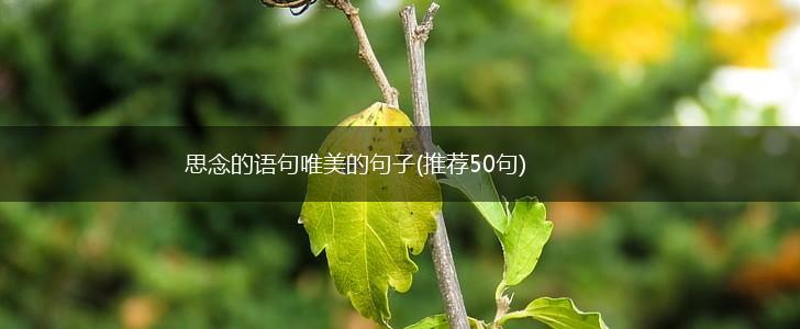 思念的语句唯美的句子(推荐50句),第1张