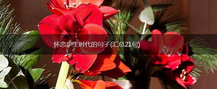 怀恋学生时代的句子(汇总21句),第1张